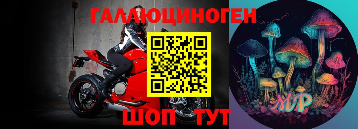 Владивосток  Галлюциногенные грибы Psilocybine cubensis  Вход с VPN 